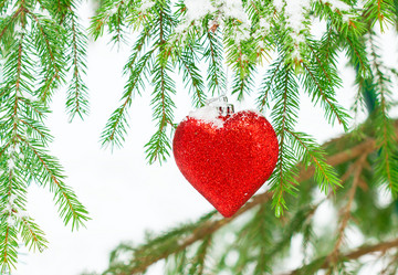 Similar image 7543457