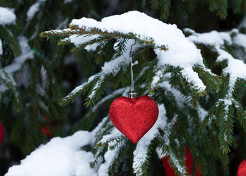 Similar image 7543459