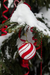 Similar image 7543460