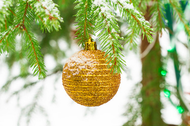 Similar image 7543468