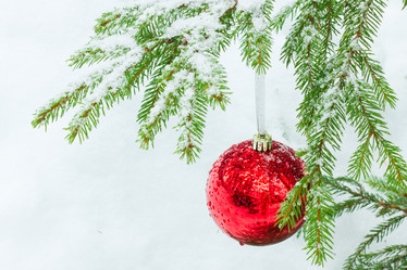 Similar image 7543472