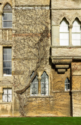 Similar image 7543485