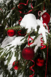 Similar image 7543487