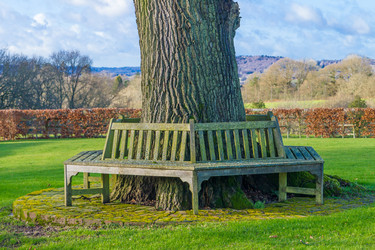 Similar image 7543511