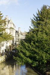 Similar image 7543517