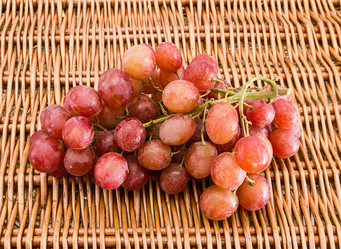 Similar image 7543530