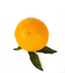 Similar image 7543579