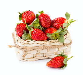 Similar image 7543588