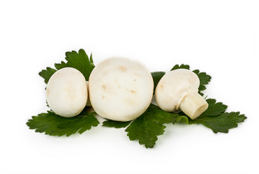 Similar image 7543593