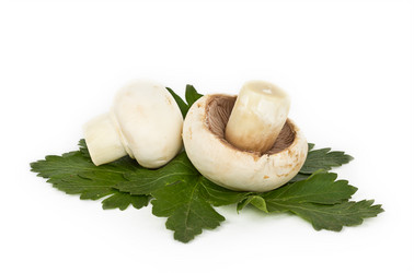 Similar image 7543599