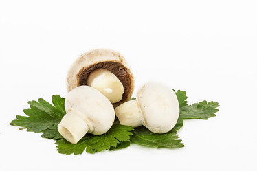 Similar image 7543604