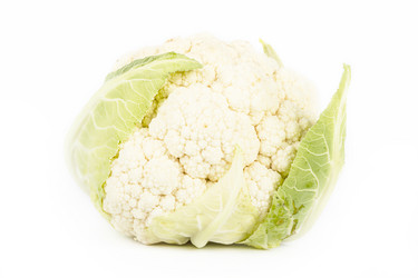 Similar image 7543606