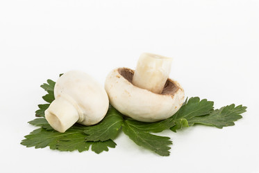 Similar image 7543612