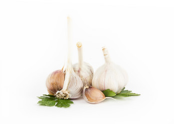 Similar image 7543613