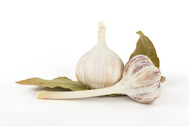 Similar image 7543626