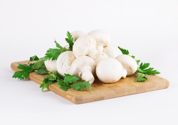 Similar image 7543657