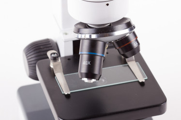 Similar image 7543659