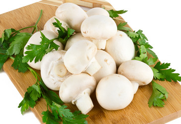 Similar image 7543679