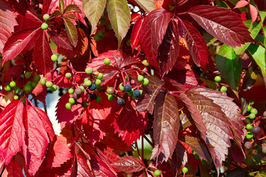 Similar image 7543686