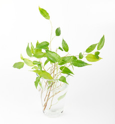 Similar image 7543687