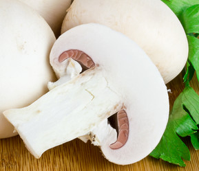 Similar image 7543692