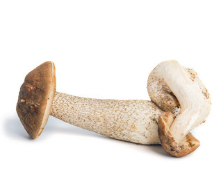 Similar image 7543699