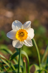 Similar image 7543717