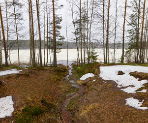 Similar image 7543720