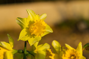 Similar image 7543726