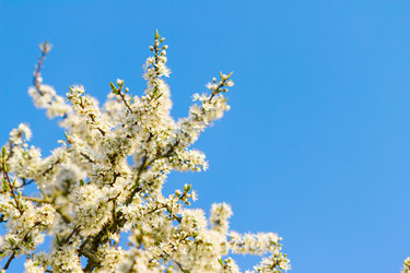 Similar image 7543729