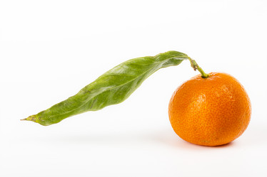 Similar image 7543740