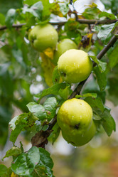 Similar image 7543758