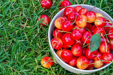 Similar image 7543779