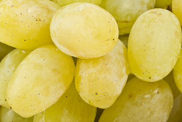 Similar image 7543793