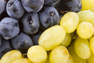 Similar image 7543797