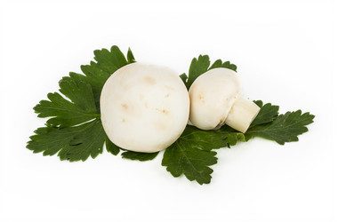 Similar image 7543824