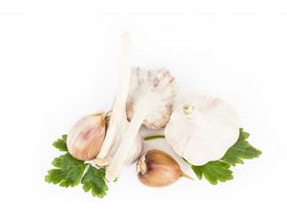 Similar image 7543828