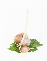 Similar image 7543830