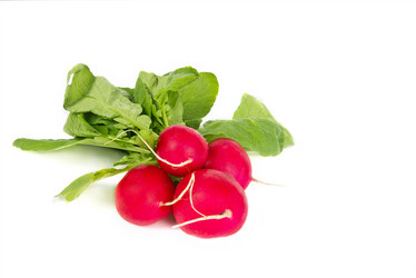 Similar image 7543858