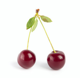 Similar image 7543914