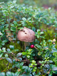 Similar image 7543919