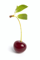 Similar image 7543924