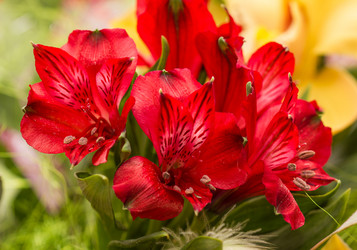 Similar image 7543944