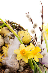 Similar image 7543961