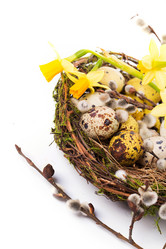 Similar image 7543964