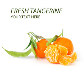 Similar image 7544012