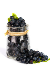 Similar image 7544019