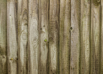 Similar image 7544033