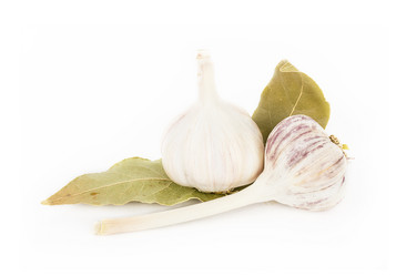 Similar image 7544034