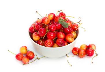 Similar image 7544044